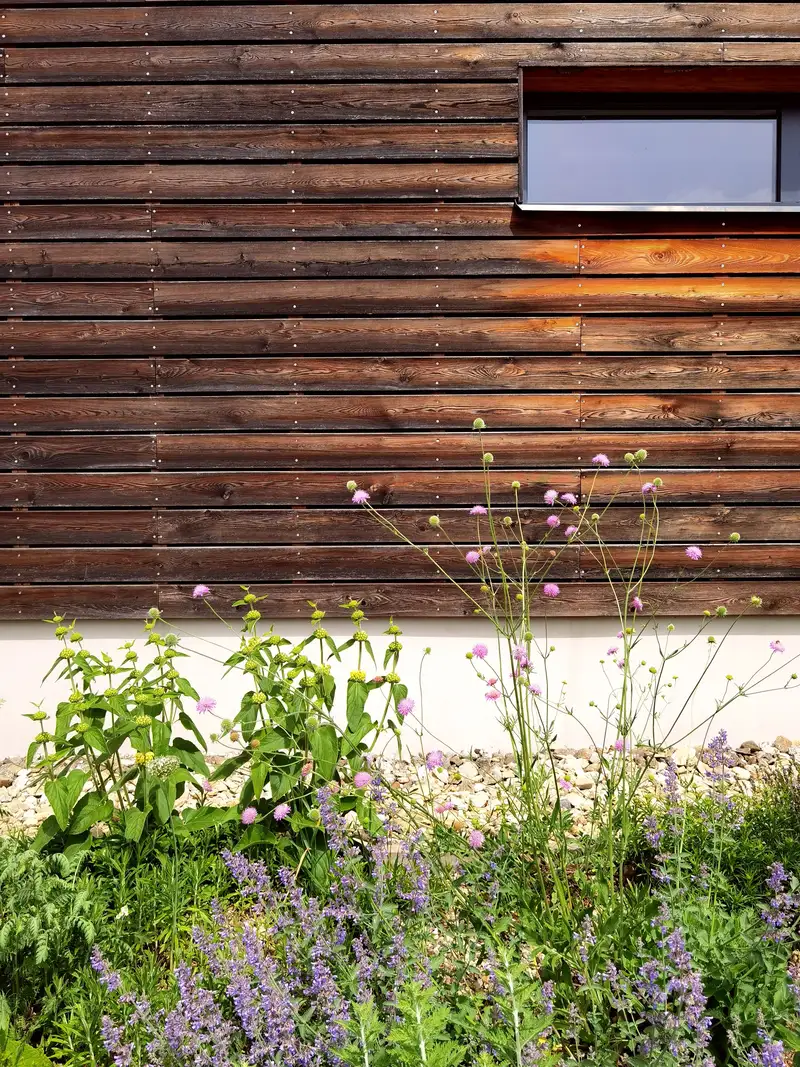 Weathered board cladding, a narrow window and wildflowers in front