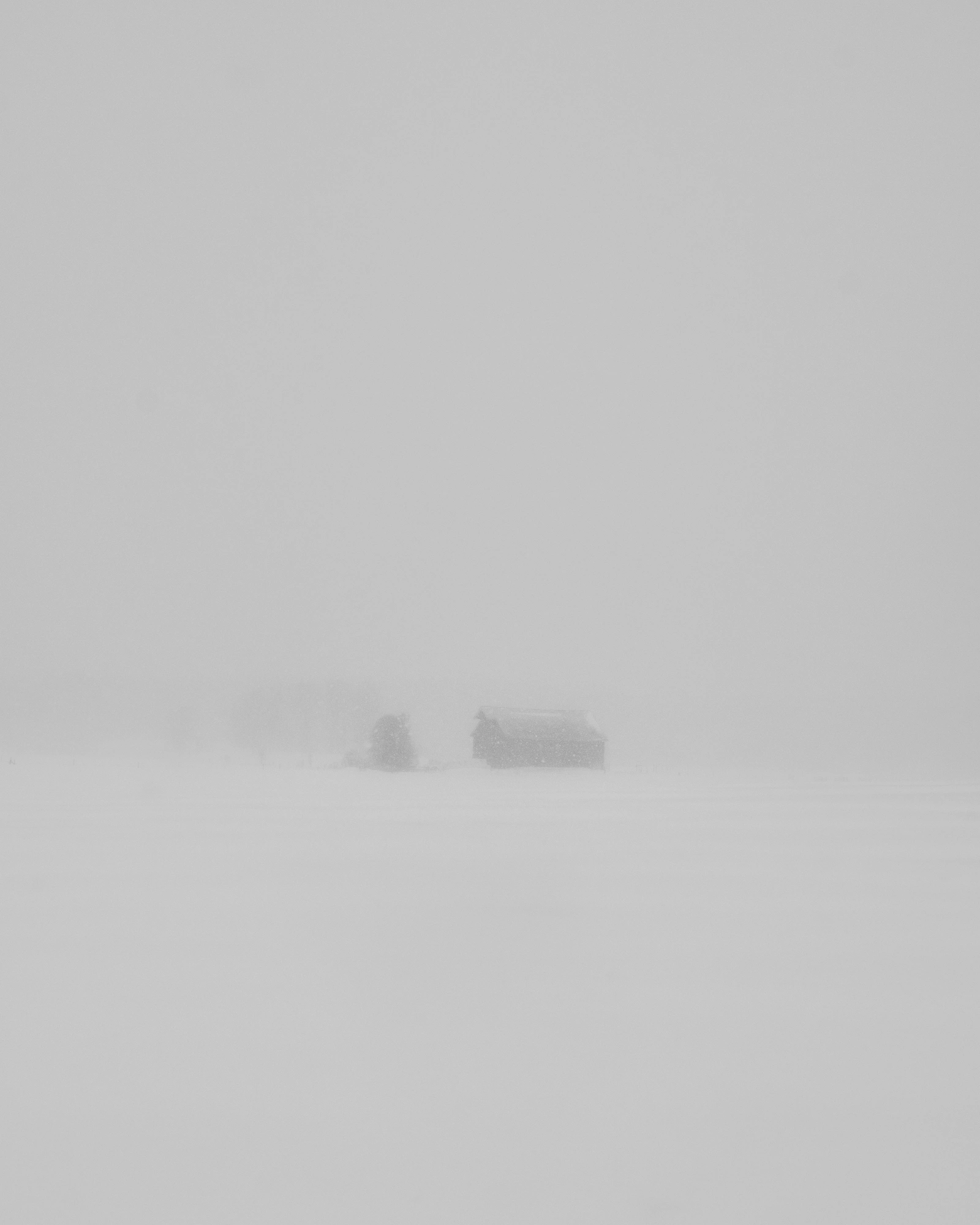 A barn in a snowstorm, almost lost in the white.